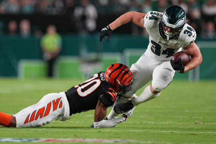 Josh Johnson helps Bengals conclude perfect preseason with 30-13 win over Eagles